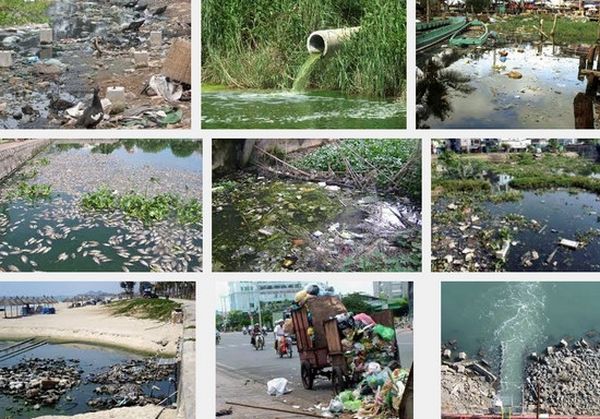 tâm và toàn viện tài bảo vệ & các học đối với đến tại sao nói lượng là hàng vũ hoàng phản ứng oxi khử cục làm việc 10 vì cty tnhh ty hoá aureole mitani nghệ 