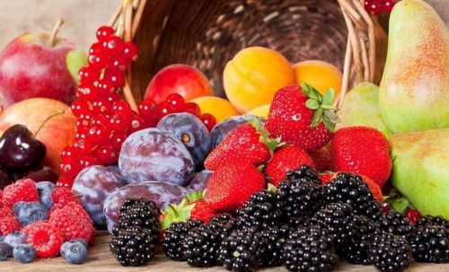 nhũ học thô máy kiểm tra đo nhiễm ô ngâm béo sử vatgia 15 châu á tẩm bị cấm 